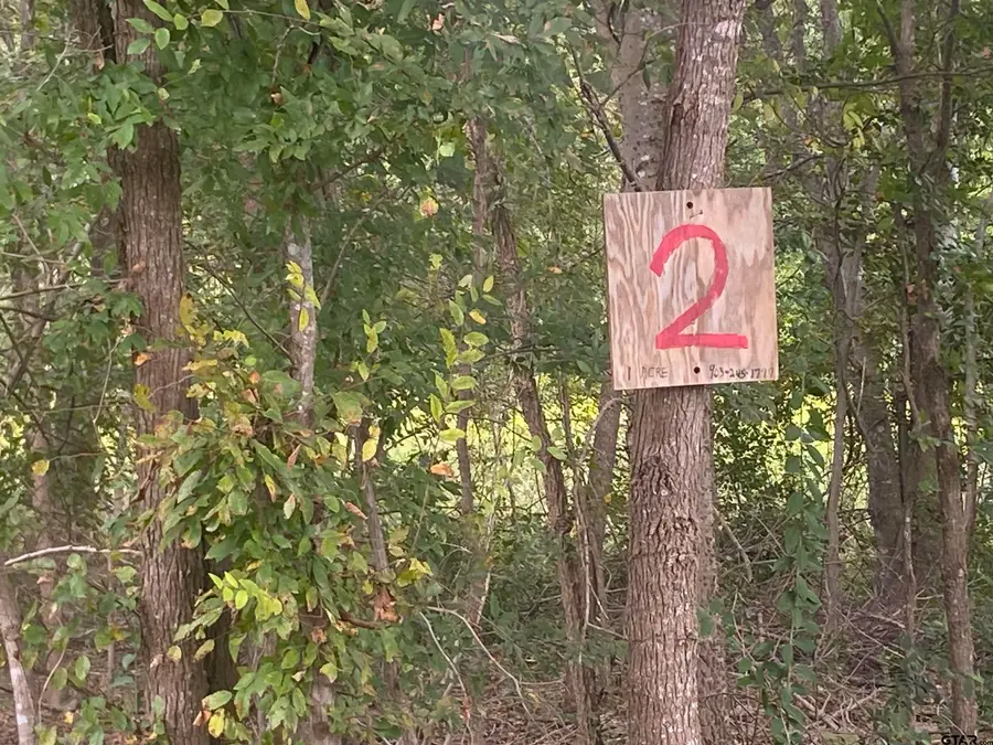 lot 1 CR  3526, Cuney, TX 75759 - Image #2