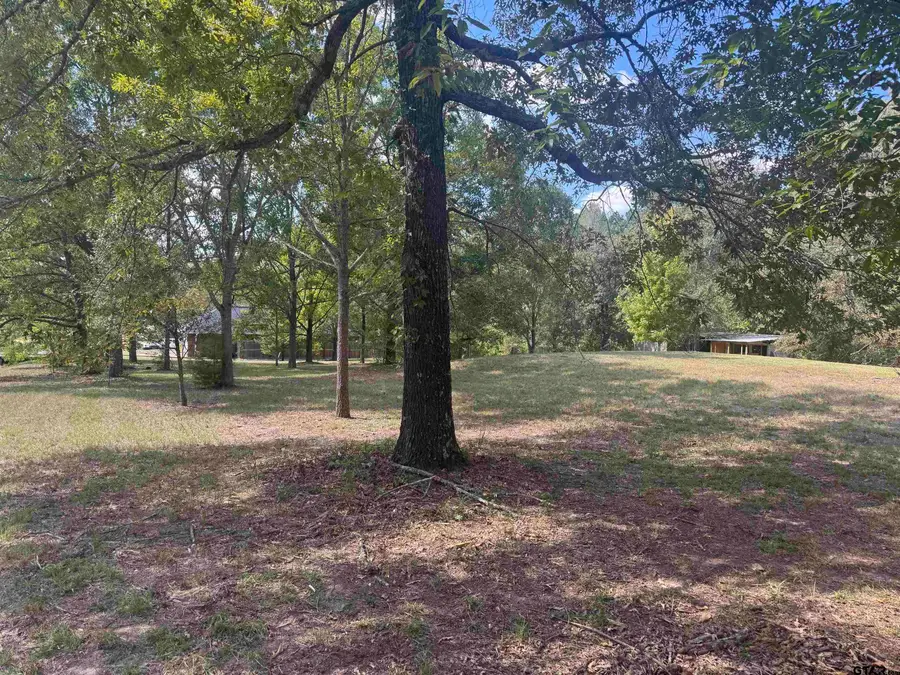 13155 C R 2220, Whitehouse, TX 75791 - Image #2
