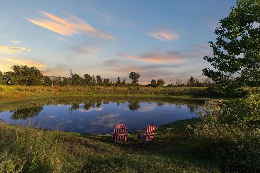 661 VZCR 4406, Ben Wheeler, TX 75754 - Image #1