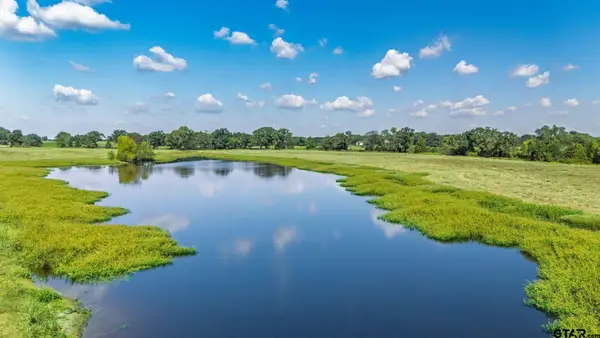 31 Acres Texas Highway 19, Brashear, TX 75420