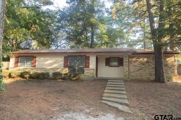 12991 N Pointe Rd, Winona, TX 75792