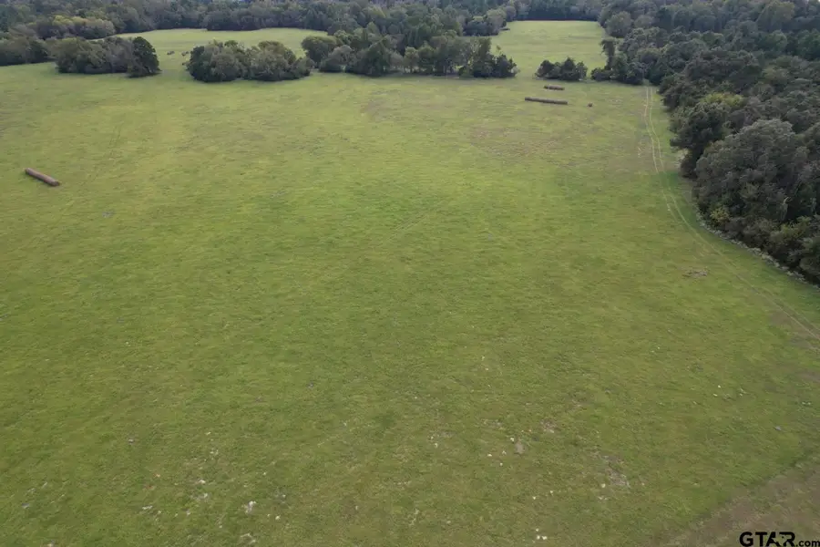 TBD-A CR 435, Frankston, TX 75763 - Image #3