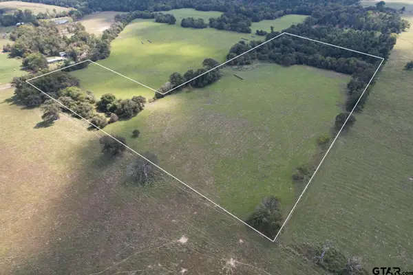 TBD-B CR 435, Frankston, TX 75763