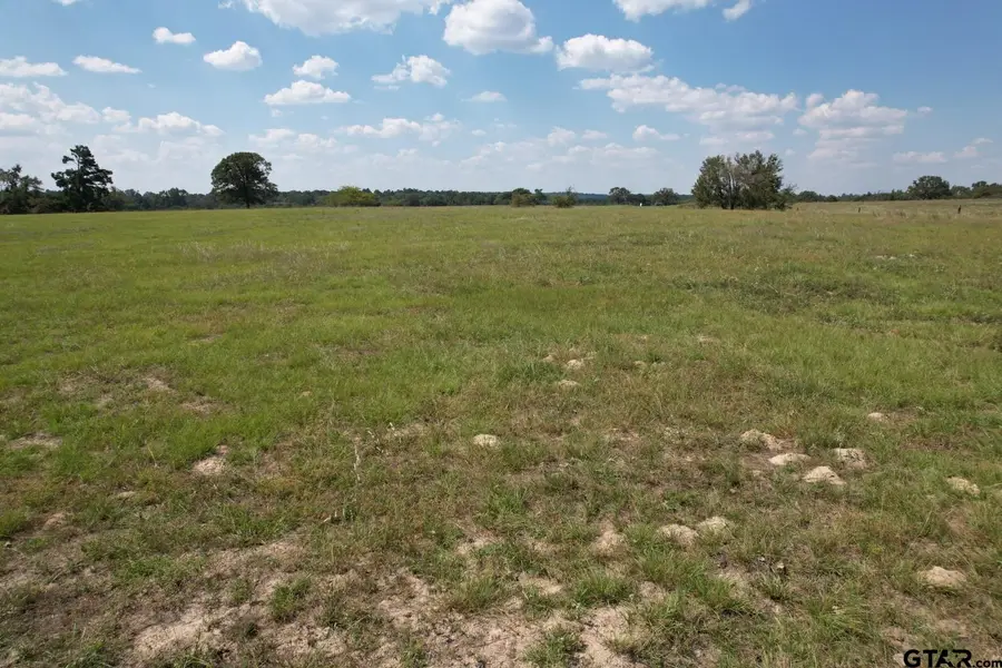 TBD-B CR 435, Frankston, TX 75763 - Image #3