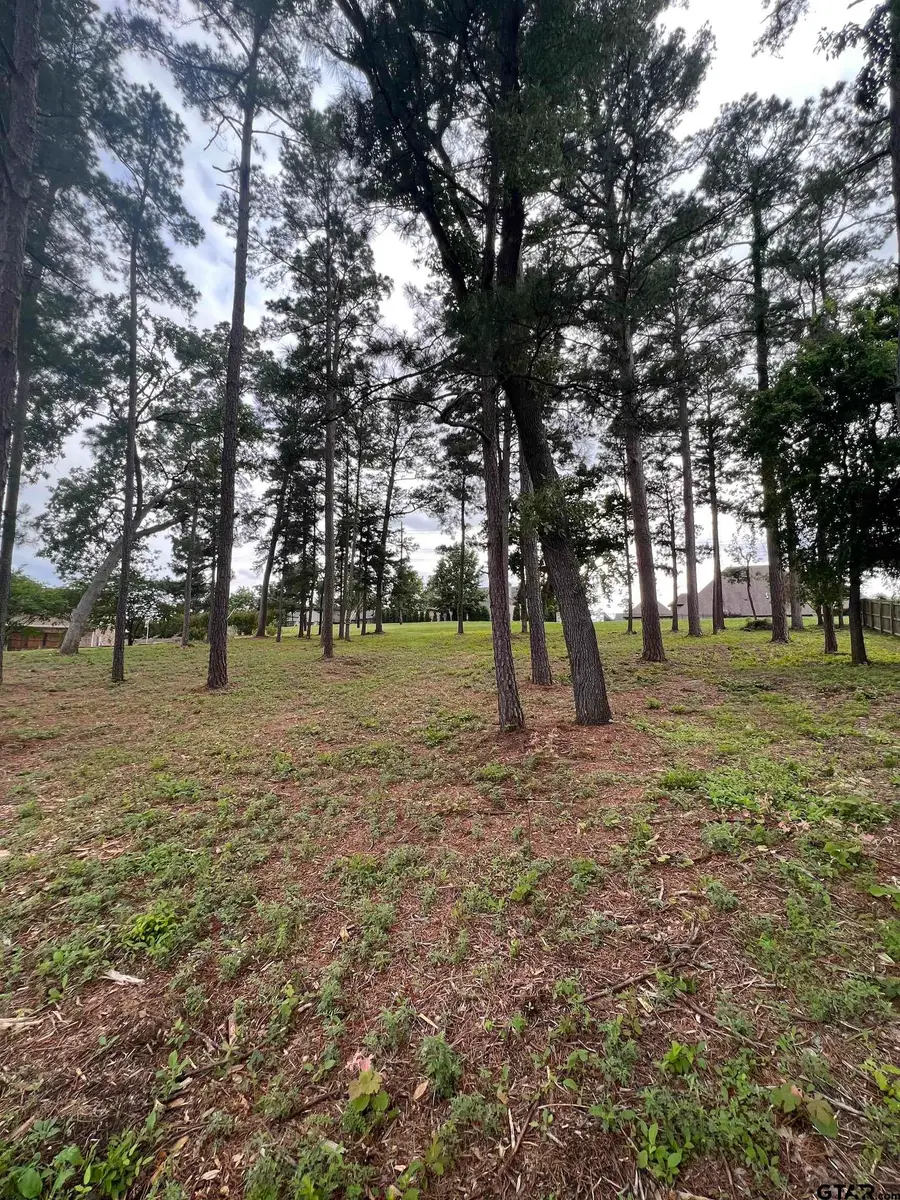 7125 Nottaway Dr, Tyler, TX 75703 - Image #3