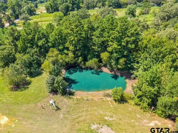 11870 CR 2260, Arp, TX 75750