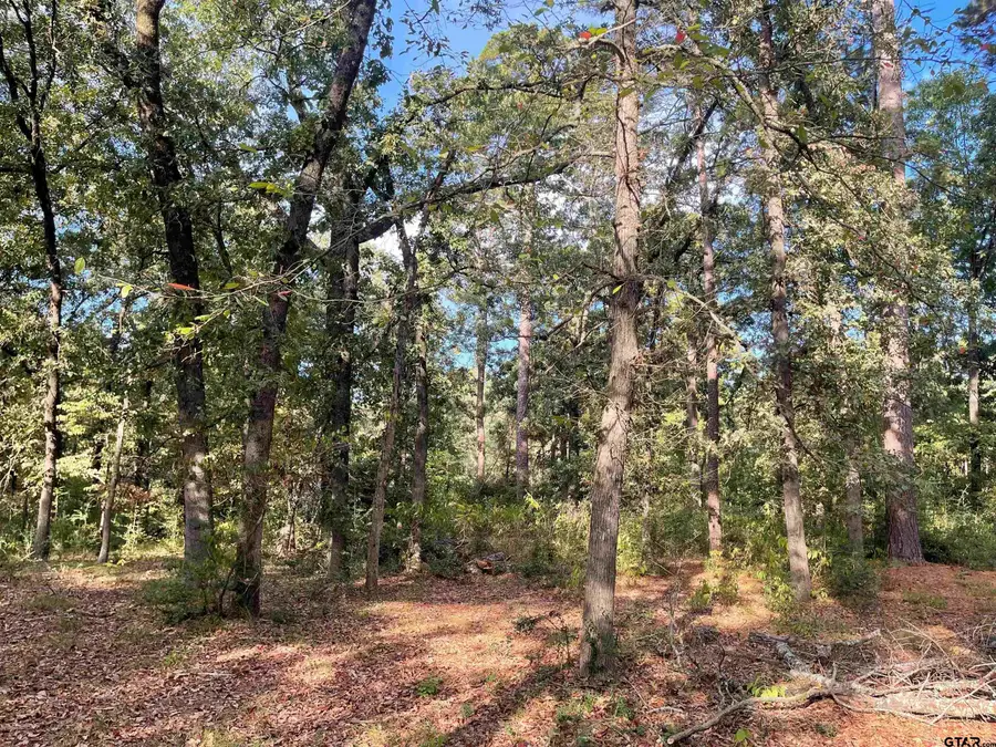 246 Spring Lake Knoll, Holly Lake Ranch, TX 75765 - Image #3