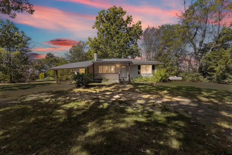 853 County Road 2730, Pittsburg, TX 75686 - Image #3