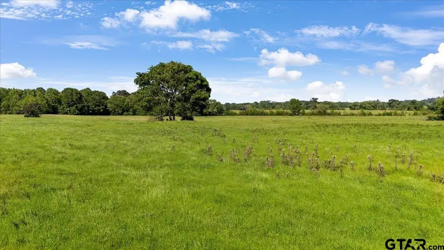 335 COUNTY ROAD 4802 & Hwy 110, Troup, TX 75789 - Image #2