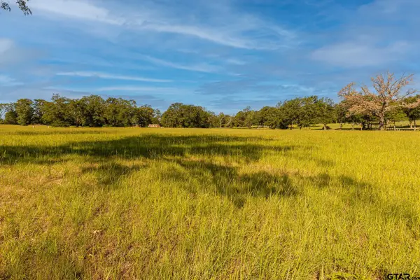 16138 CR 192, Tyler, TX 75703