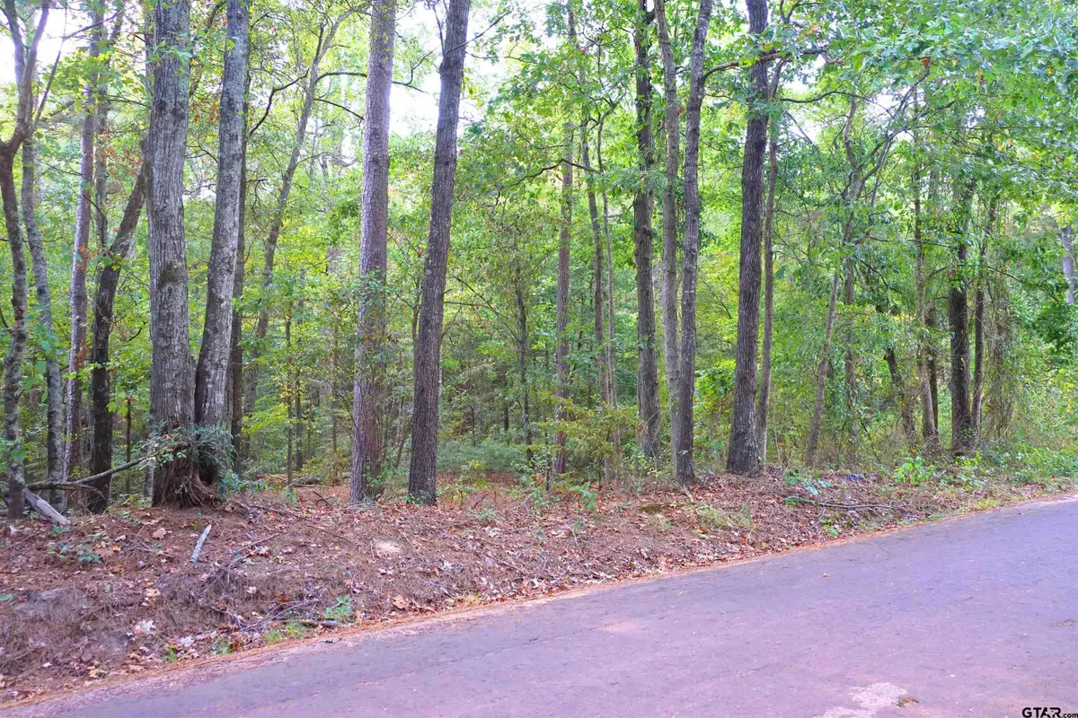 Tbd Bob O Link Rd., Gladewater, TX 75645 - Image #1