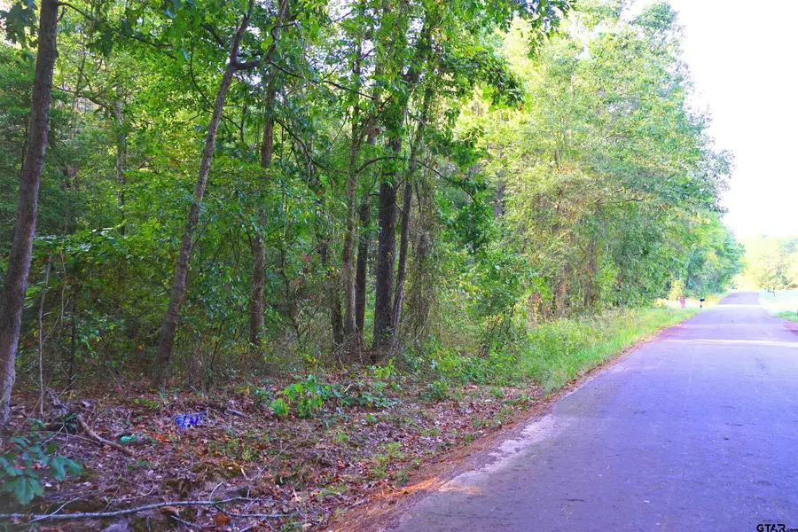 Tbd Bob O Link Rd., Gladewater, TX 75645 - Image #2