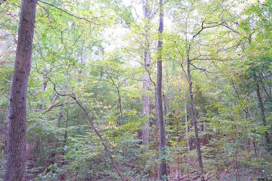 Tbd Bob O Link Rd., Gladewater, TX 75645 - Image #3