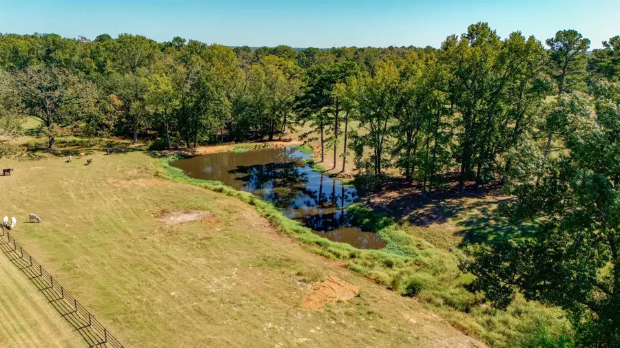 7999 FM 1448, Winnsboro, TX 75494 - Image #3