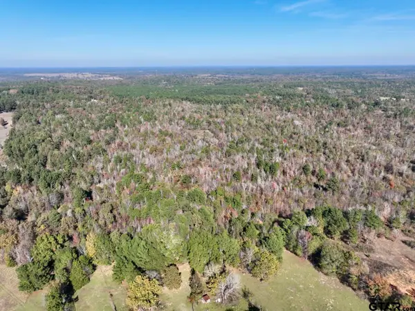 21695 County Rd 240, Tyler, TX 75705