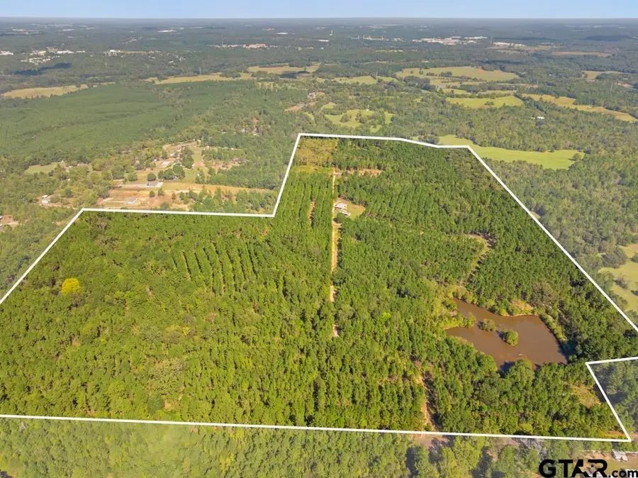 5379 CR 385, Tyler, TX 75708 - Image #2