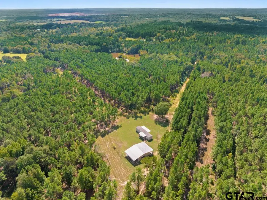 5379 CR 385, Tyler, TX 75708 - Image #3