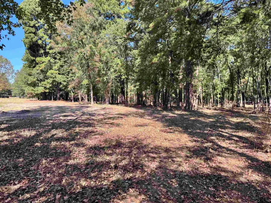 TBD VZ COUNTY ROAD 4823, Chandler, TX 75758 - Image #2