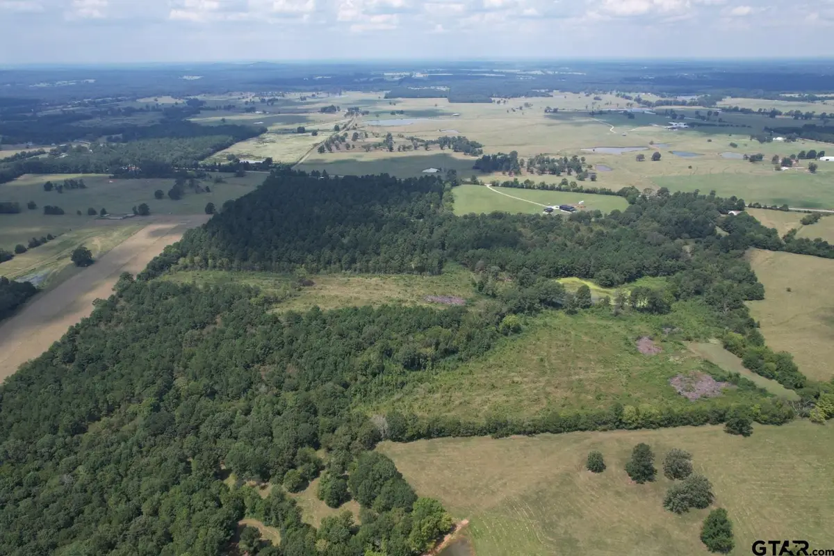 TBD W FM 1662, Laneville, TX 75667 - #1