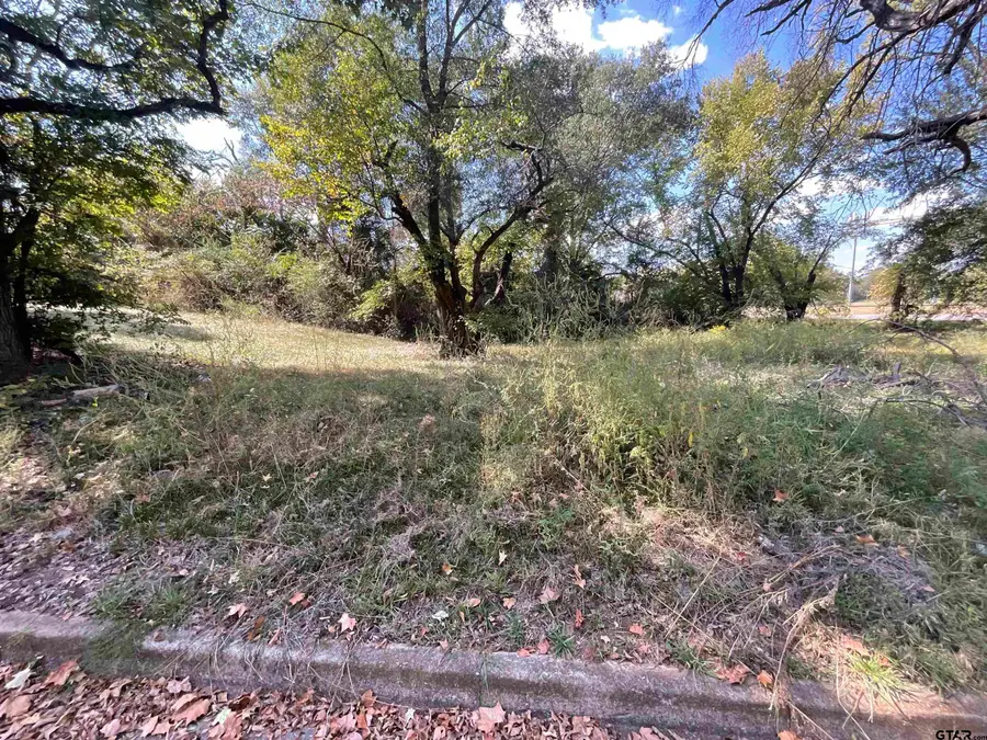 607 S Englewood Ave, Tyler, TX 75701 - Image #2