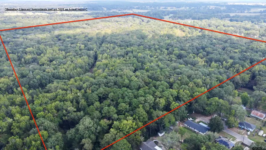 tbd N Dessie, Mount Pleasant, TX 75455 - Image #2