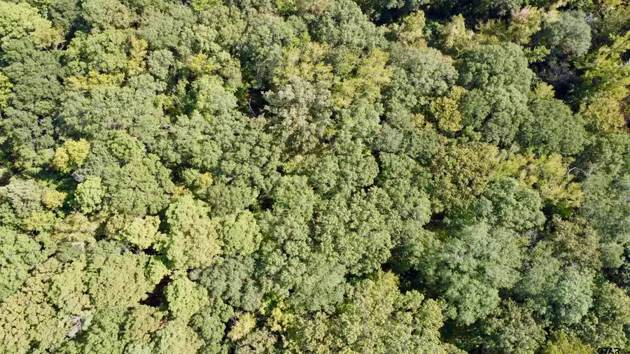 tbd N Dessie, Mount Pleasant, TX 75455 - Image #3