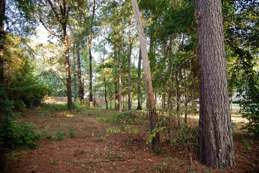 1003 Glenfawn St, Jacksonville, TX 75766 - Image #3