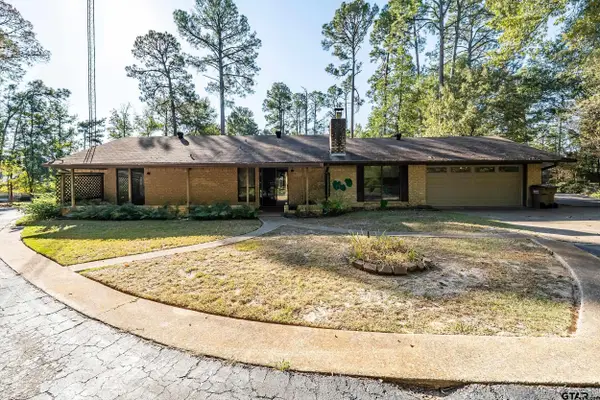 331 Bent Horseshoe Lane, Holly Lake Ranch, TX 75765