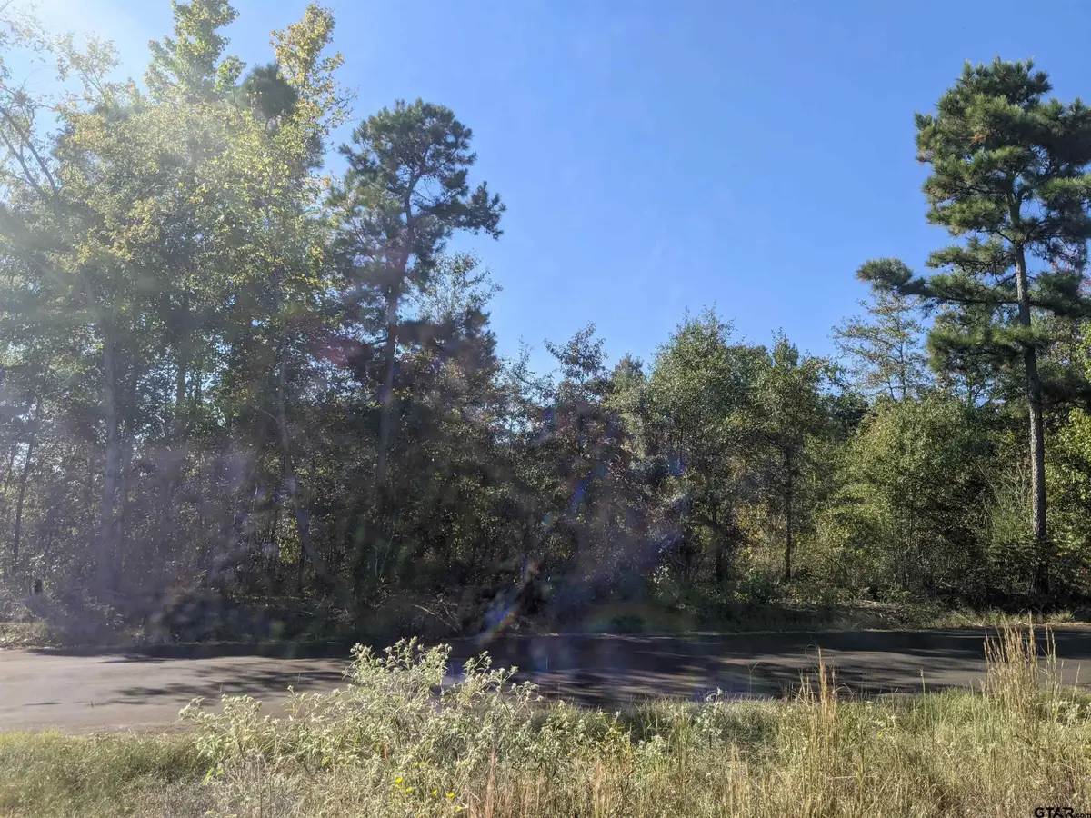 TBD C R 246 S, Tyler, TX 75705 - Image #1