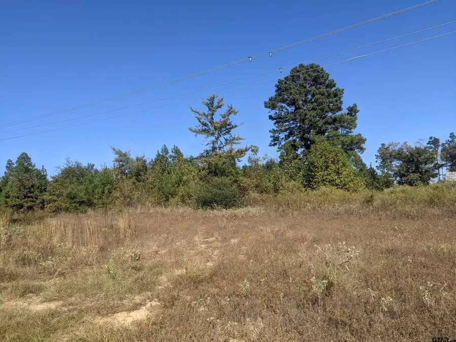 TBD C R 246 S, Tyler, TX 75705 - Image #2