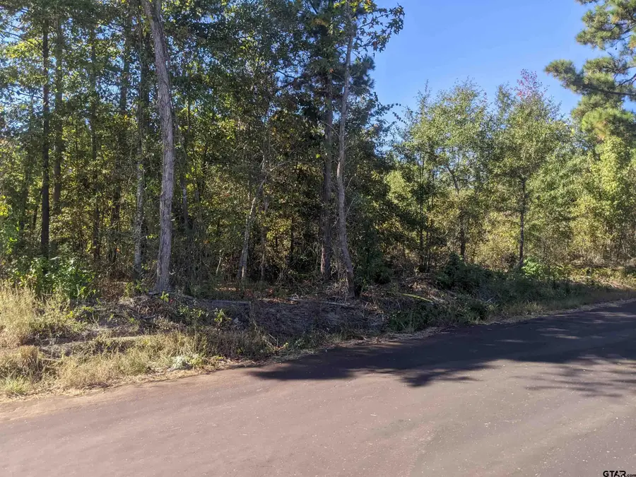TBD C R 246 S, Tyler, TX 75705 - Image #3