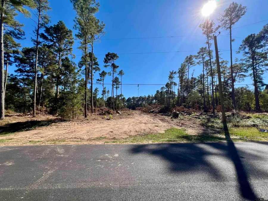 TBD CR 199, Tyler, TX 75703 - Image #2