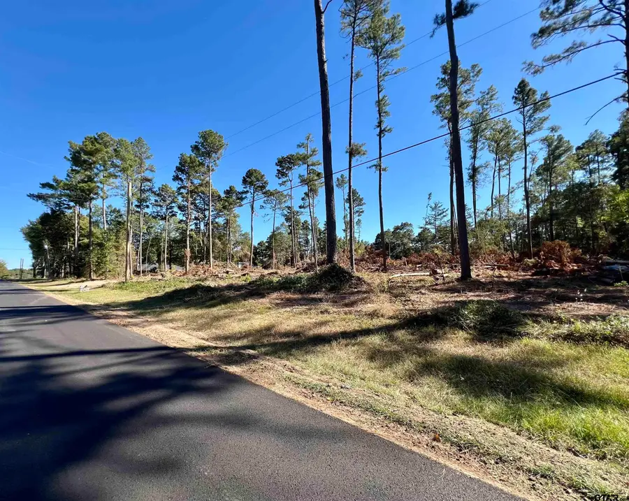 TBD CR 199, Tyler, TX 75703 - Image #3