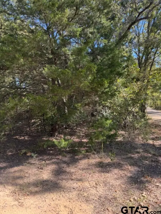 0 CR 1514, Van, TX 75790 - Image #2