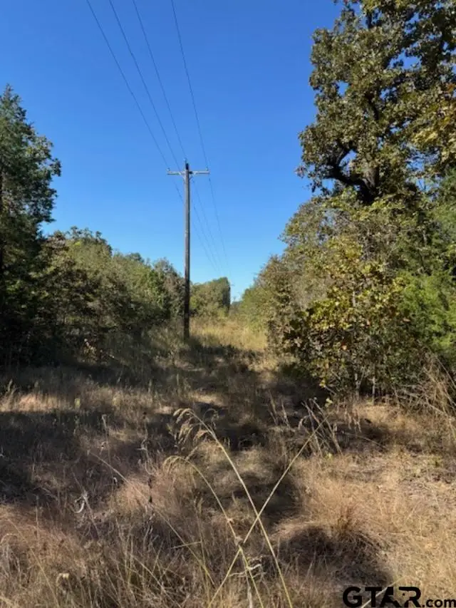 0 CR 1514, Van, TX 75790 - Image #3