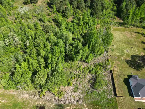 Lot 7 TBD Prosperity Dr, Pittsburg, TX 75686