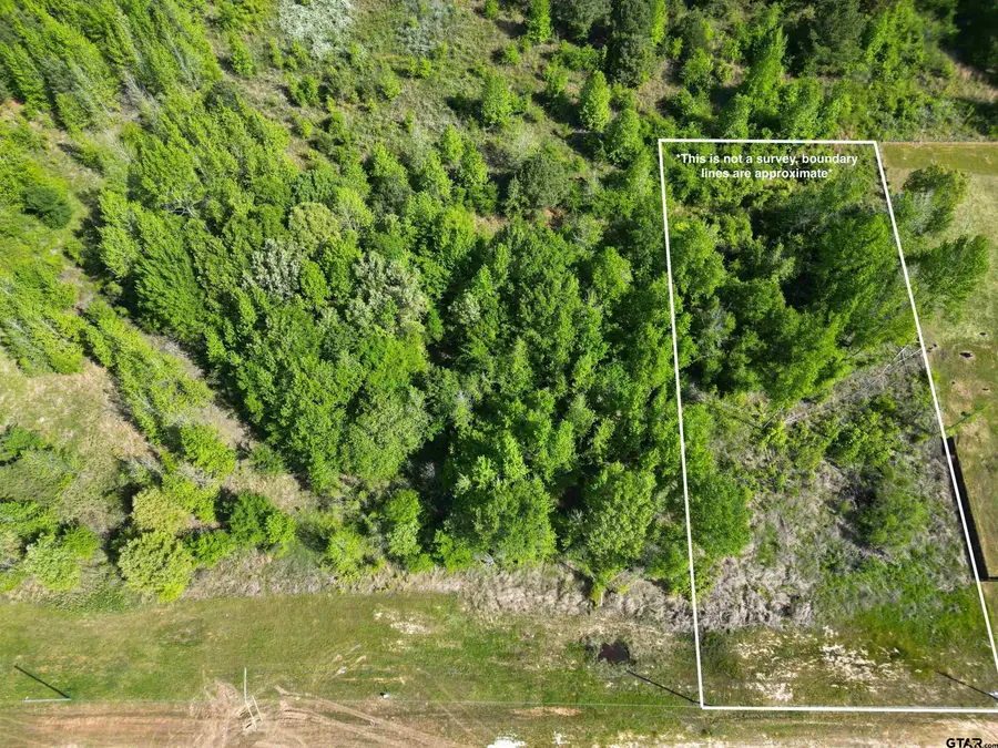 Lot 7 TBD Prosperity Dr, Pittsburg, TX 75686 - Image #2