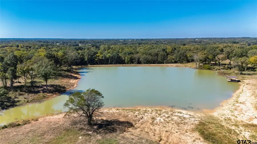 1094 SW CR 3020, Mount Vernon, TX 75457 - Image #3