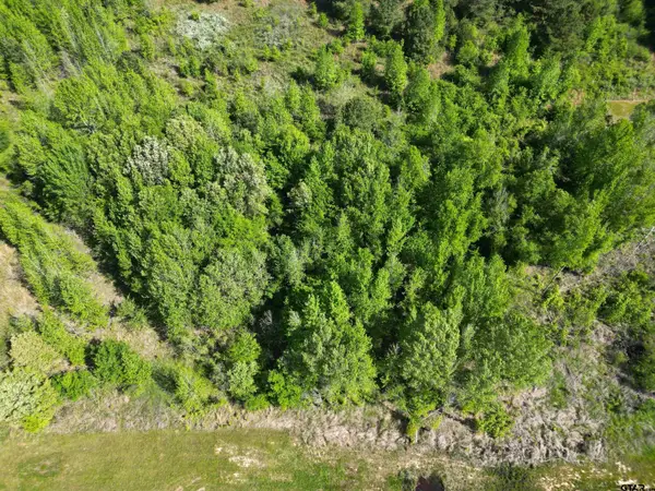 Lot 9 TBD Prosperity Dr, Pittsburg, TX 75686