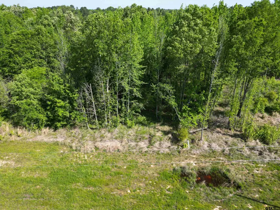 Lot 9 TBD Prosperity Dr, Pittsburg, TX 75686 - Image #2