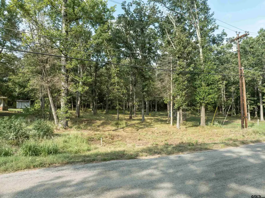 tbd Callender Lake Drive, Murchison, TX 75778 - Image #2