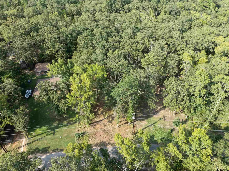 tbd Callender Lake Drive, Murchison, TX 75778 - Image #3