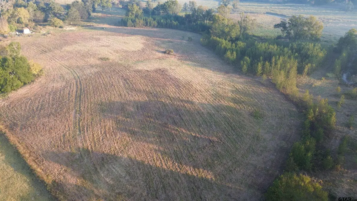 000 CR 1107, Edgewood, TX 75117 - Image #1