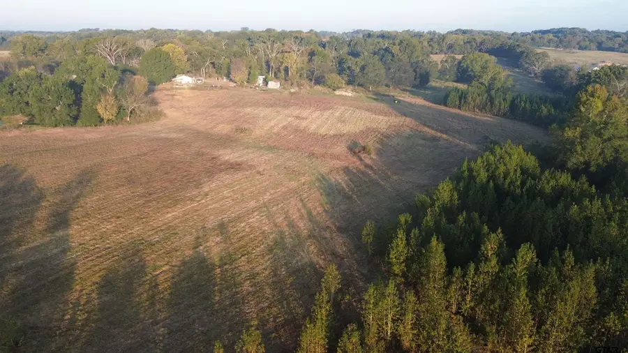 000 CR 1107, Edgewood, TX 75117 - Image #3