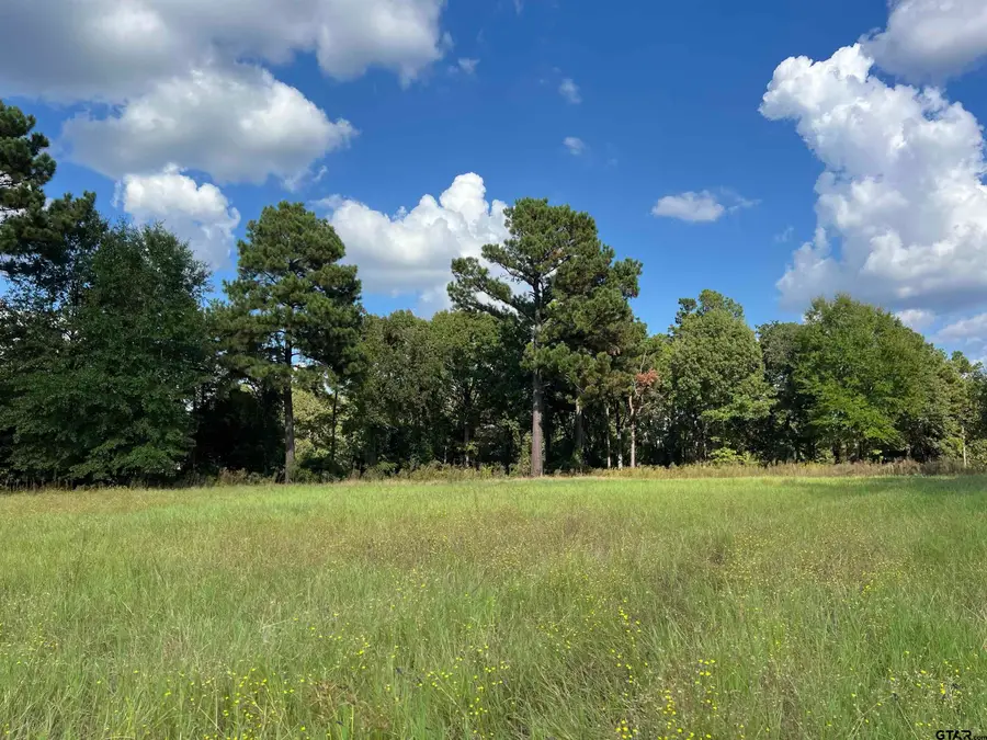 17066 Creekside, Lindale, TX 75771 - Image #3