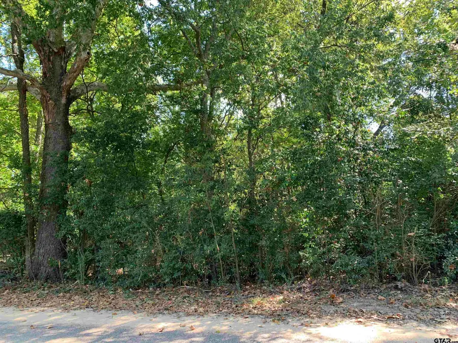 516 Chase Street, Athens, TX 75751 - Image #2