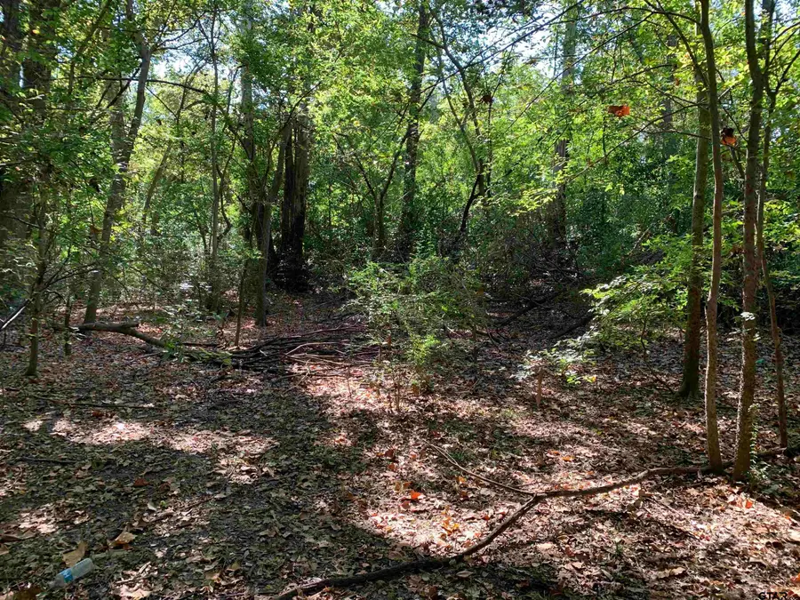 516 Chase Street, Athens, TX 75751 - Image #3