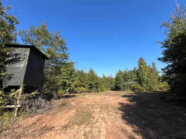 TBD CR 1579-1, Avinger, TX 75630