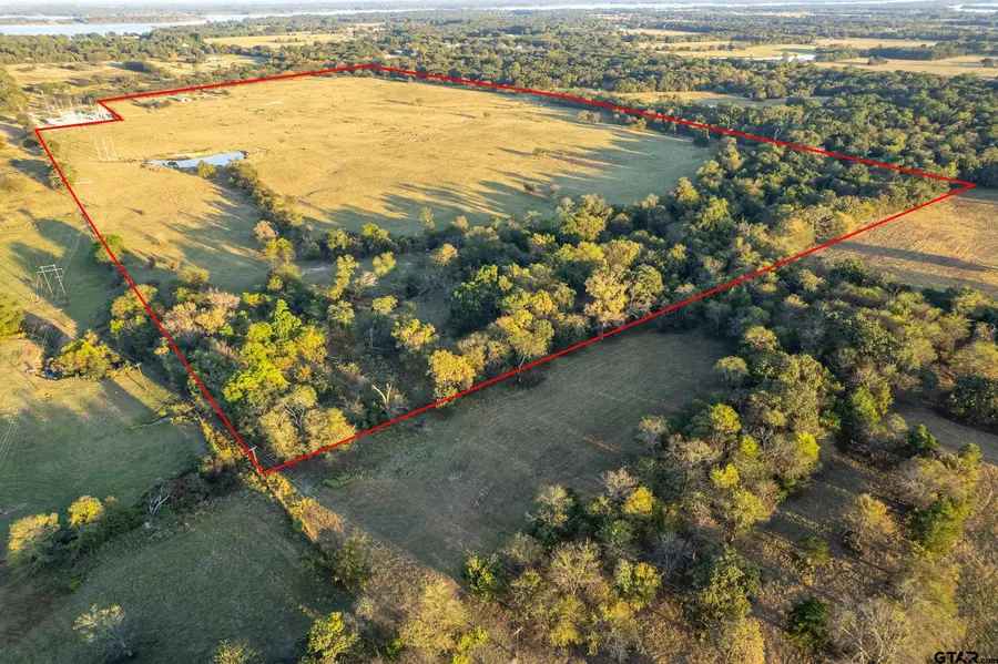 5081 HWY 154, Yantis, TX 75497 - Image #3