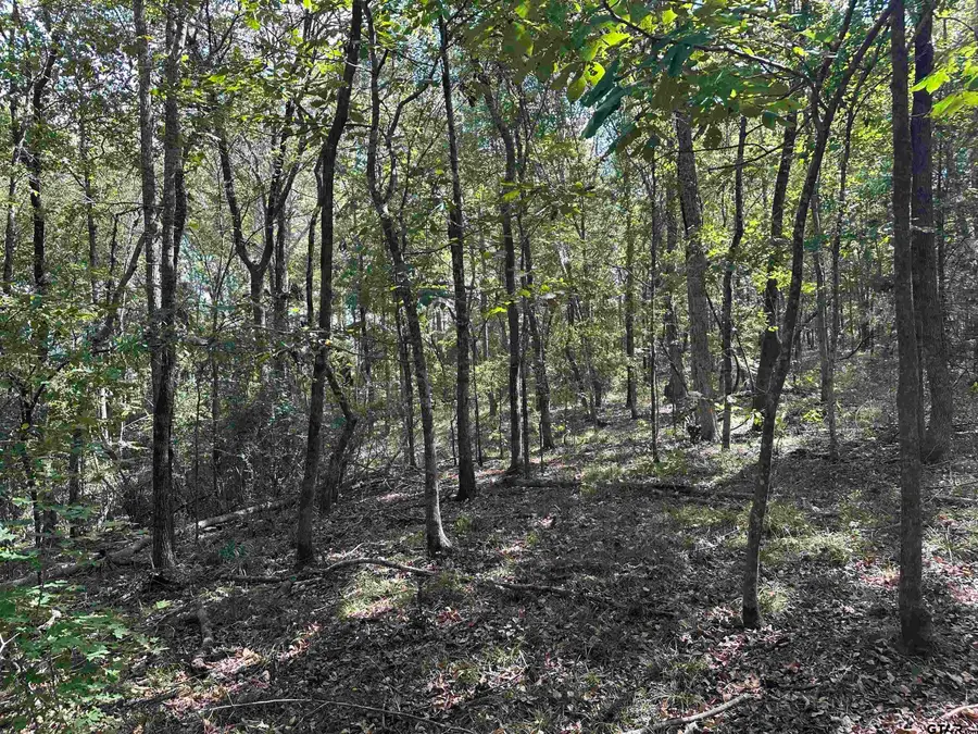 TBD CR 1318, Rusk, TX 75785 - Image #3